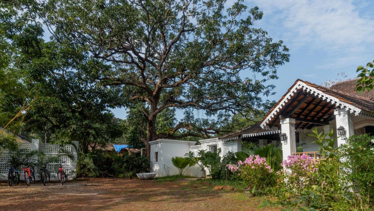 The Island Sanctuary - A Village Secret Chorao Exterior photo